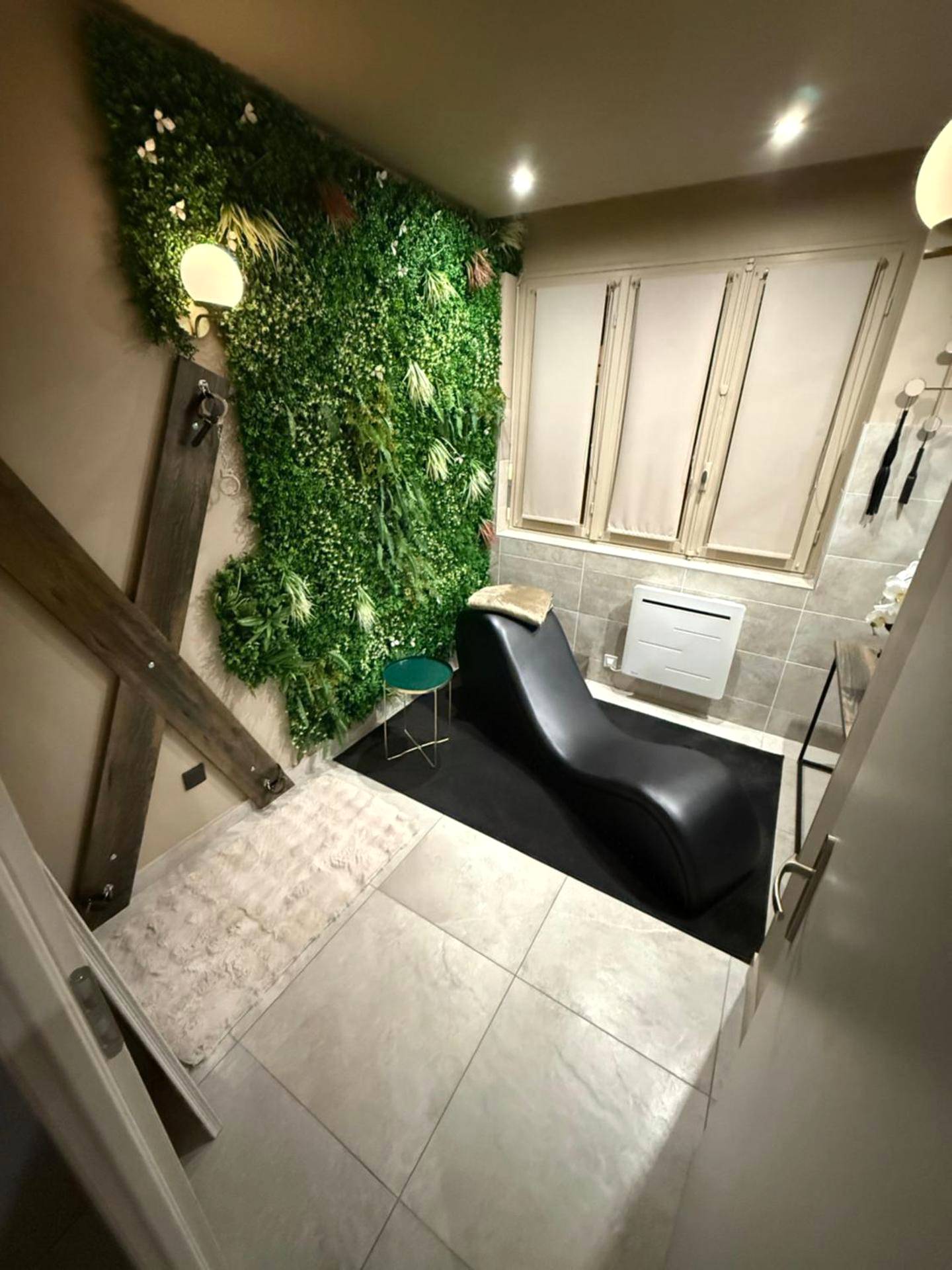 Photo du logement - L'extasia appartement Grenoble