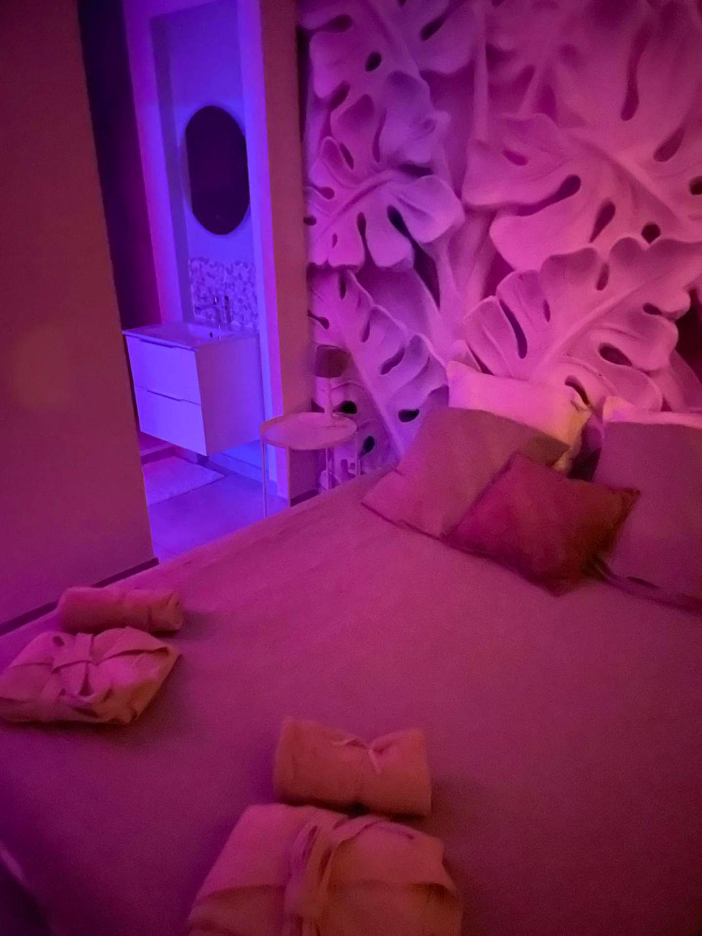 Photo du logement - L'extasia appartement Grenoble - Grenoble