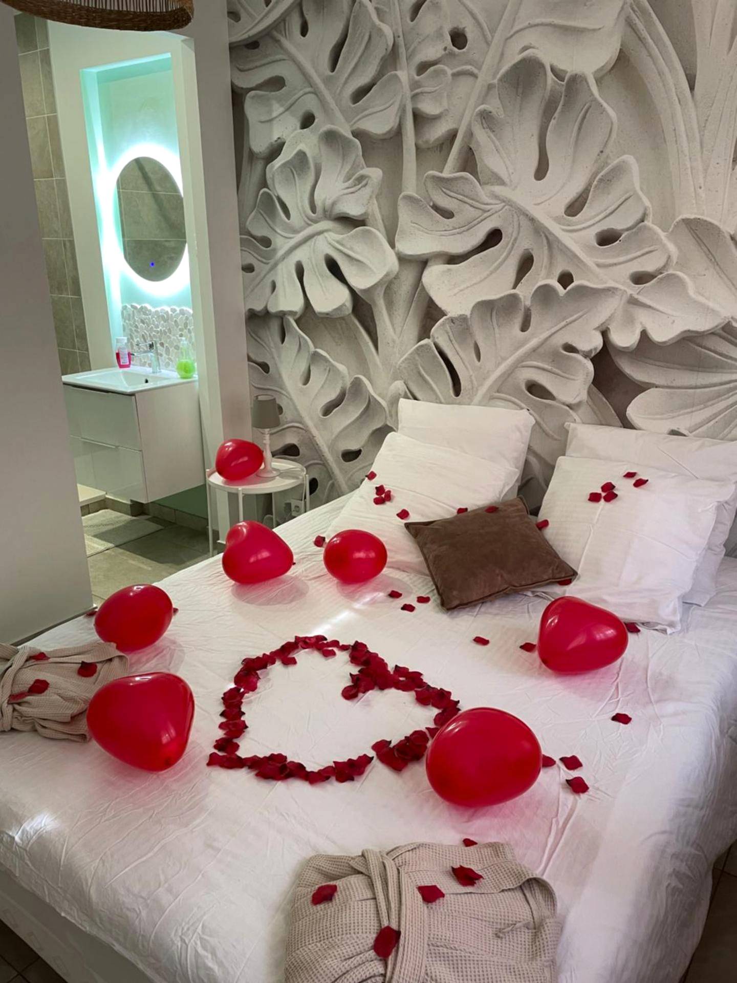 Photo du logement - L'extasia appartement Grenoble