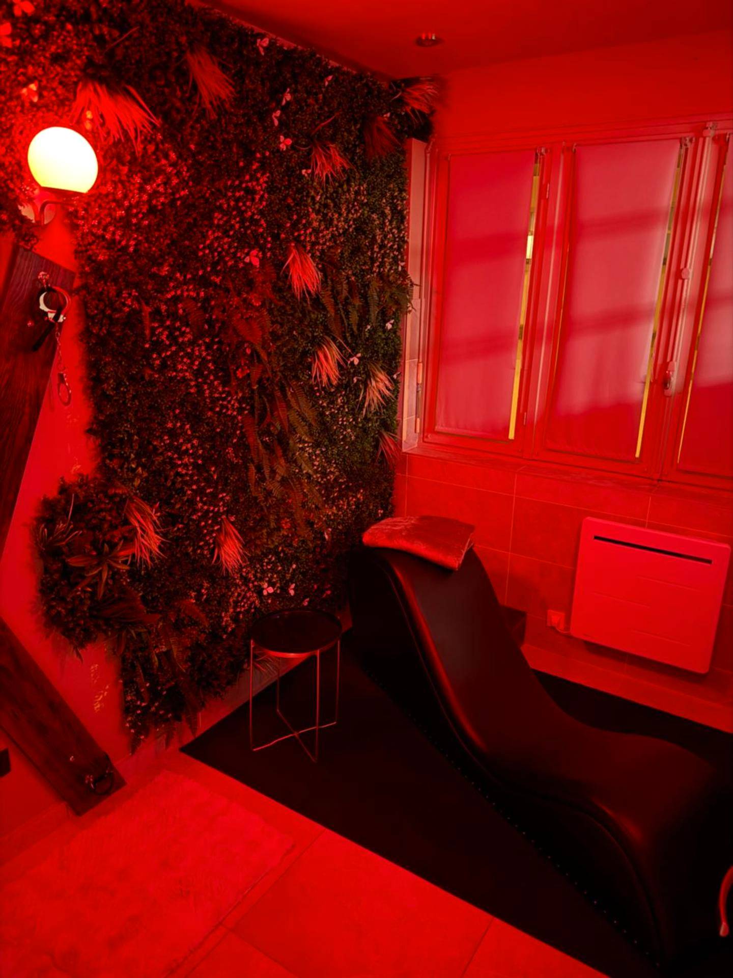 Photo du logement - L'extasia appartement Grenoble