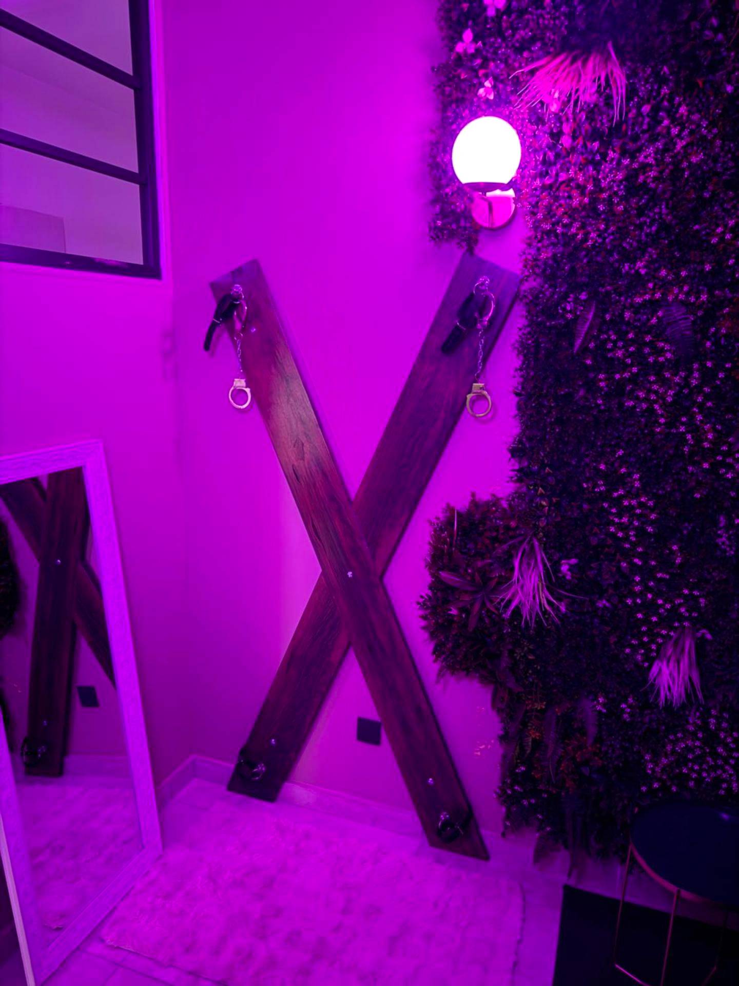 Photo du logement - L'extasia appartement Grenoble