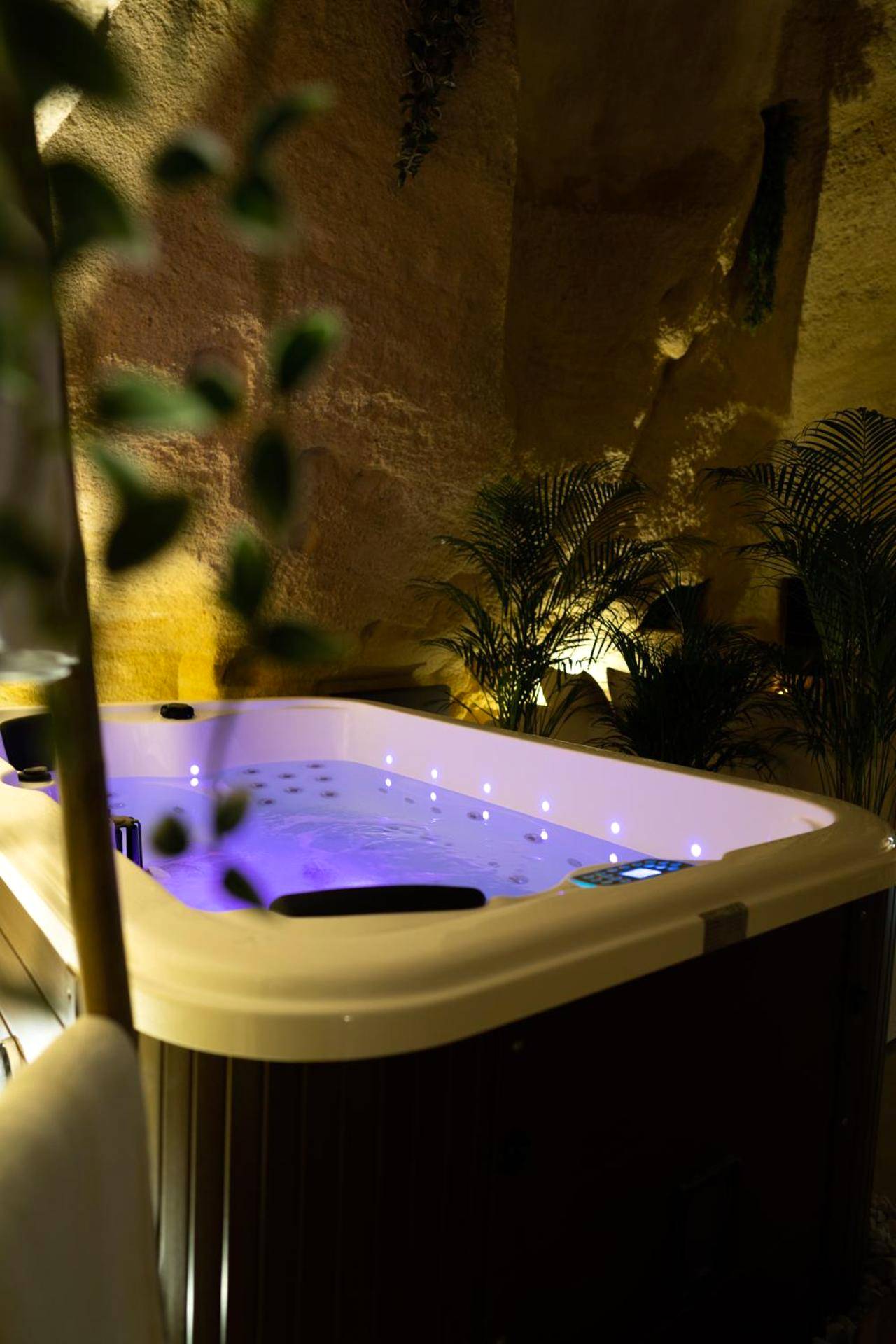 Photo du logement - La falaise perdue, Suite troglodyte & spa privé - Doué - en - Anjou