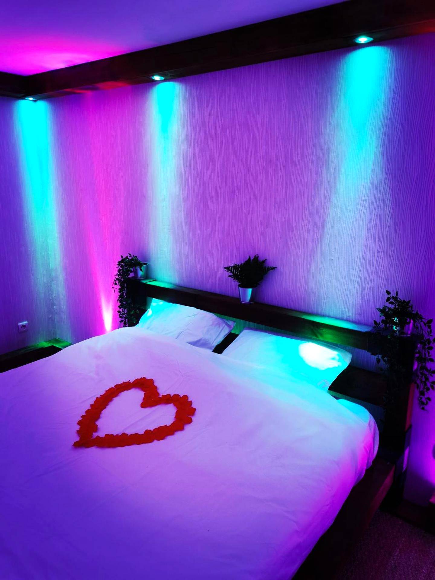 Photo du logement - Faranel - Trith - Saint - Léger