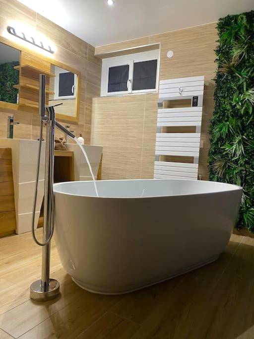 Photo du logement - F & C Love Spa, Sauna and Tantra