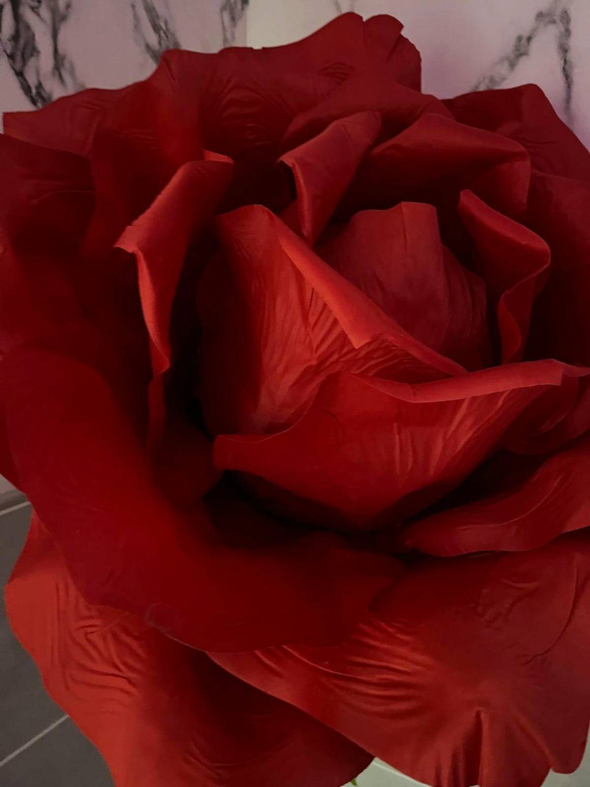 Detail du logement - Love room Le Fifty