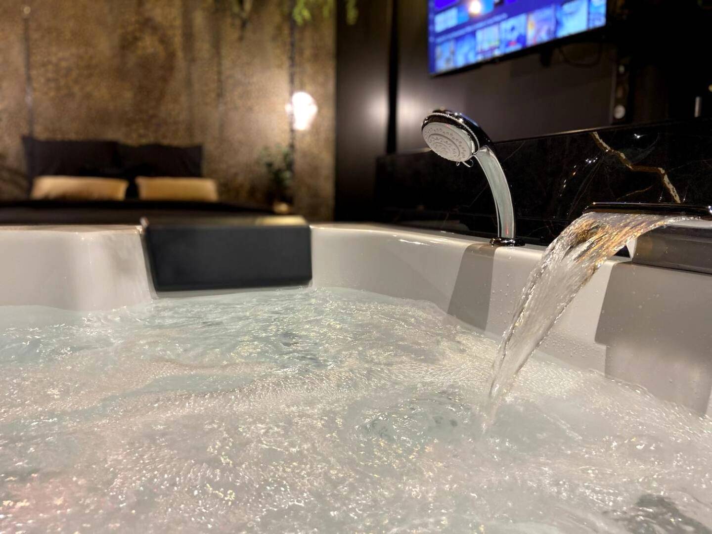 Photo du logement - La folie sauvage - Balnéo & haut de gamme - Saint - Nazaire