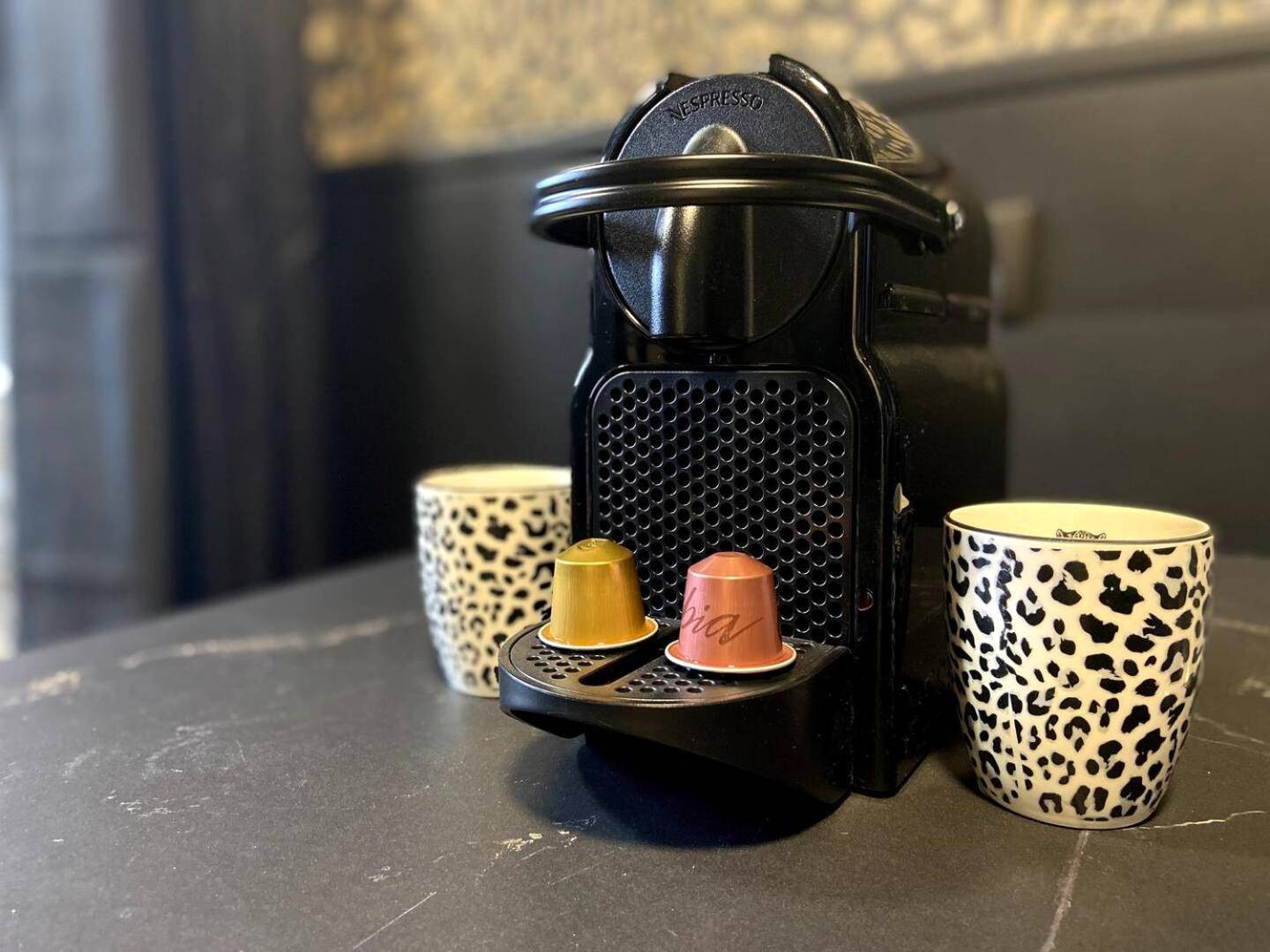 Photo du logement - La folie sauvage - Balnéo & haut de gamme