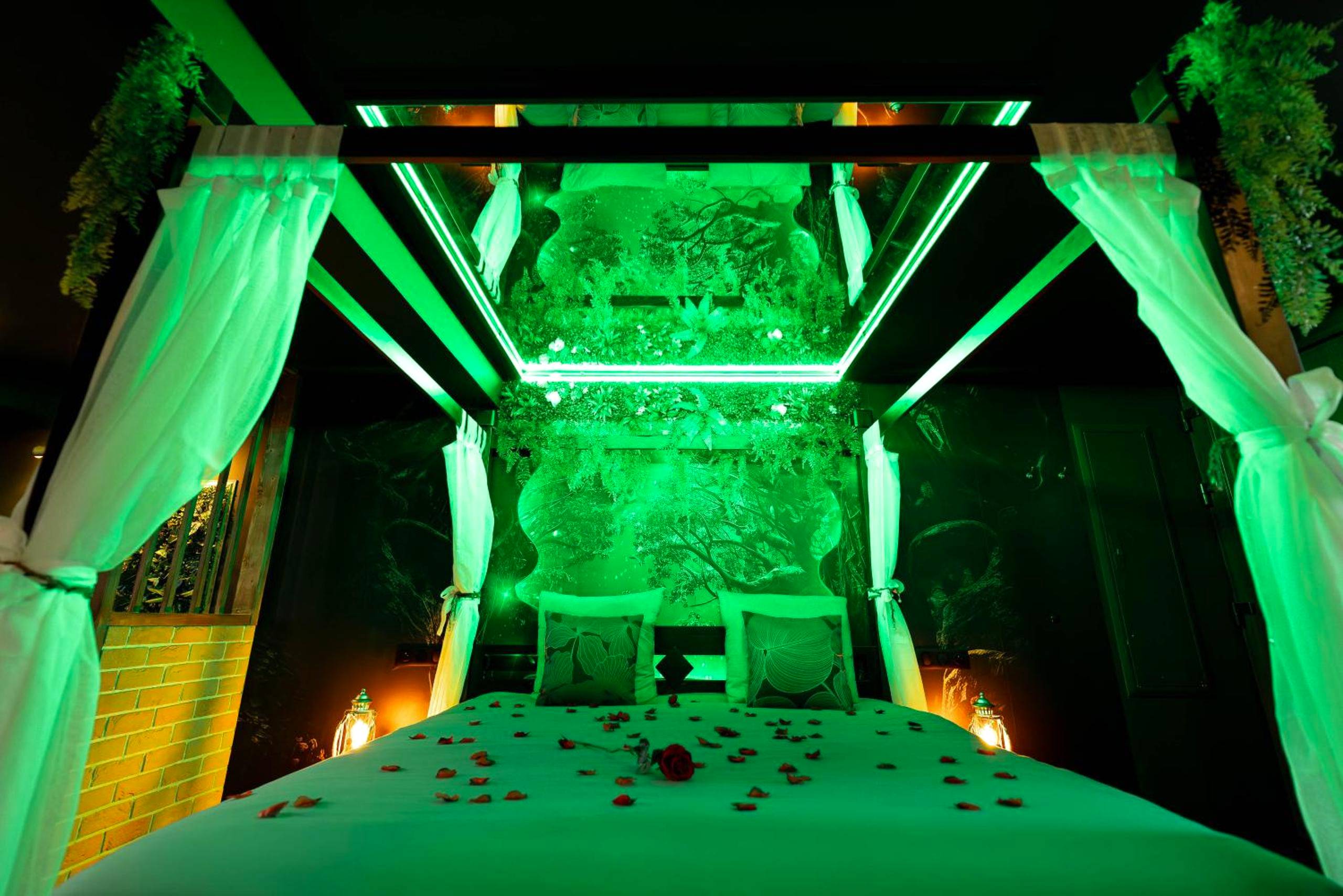 Photo du logement - La Forêt Enchantée - Chambre à thème Love Room Jacuzzi - Évasion pour deux