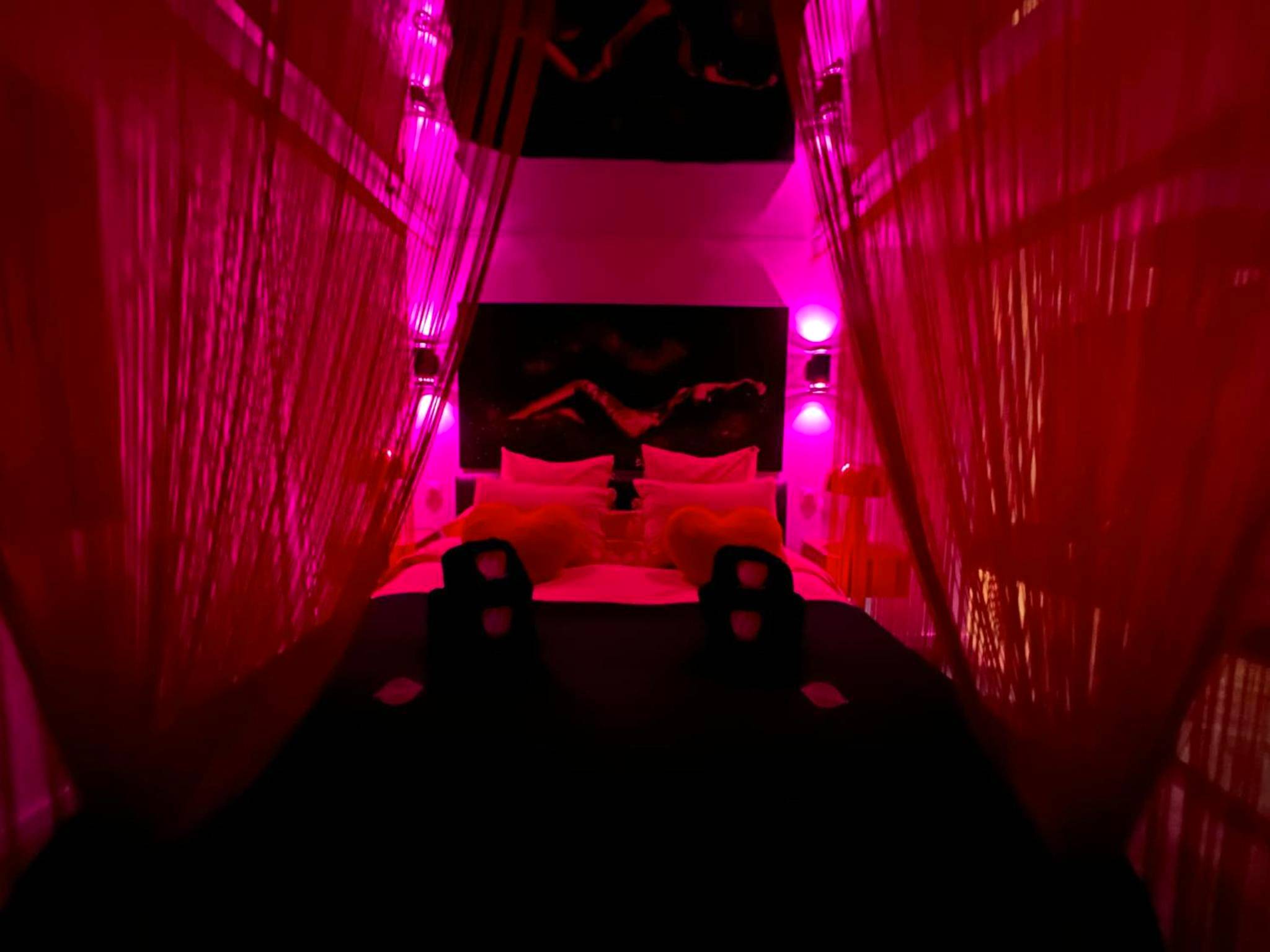 Photo du logement - Le fruit défendu 67 - Brumath