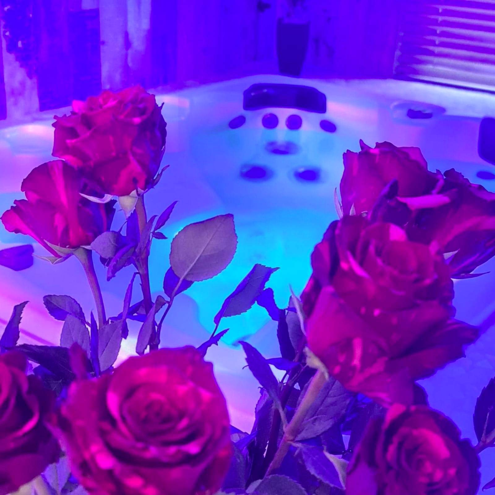 Photo du logement - Loveroom La Garçonn'Hyères