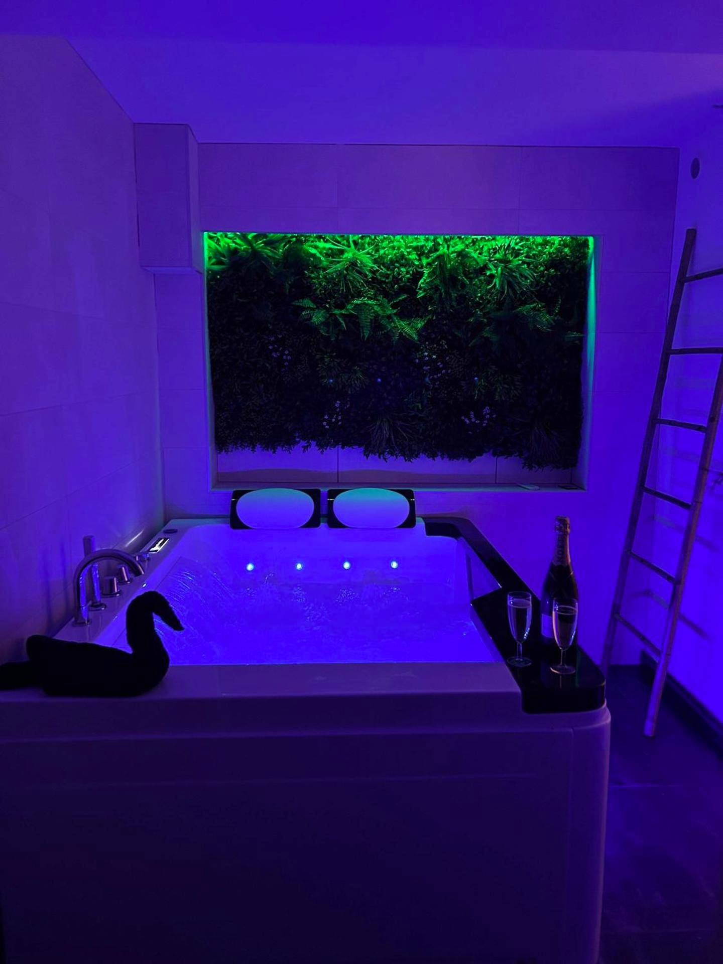 Jacuzzi privatif avec mur végétal lumineux - Love Room Barr - Beau gîte avec jacuzzi