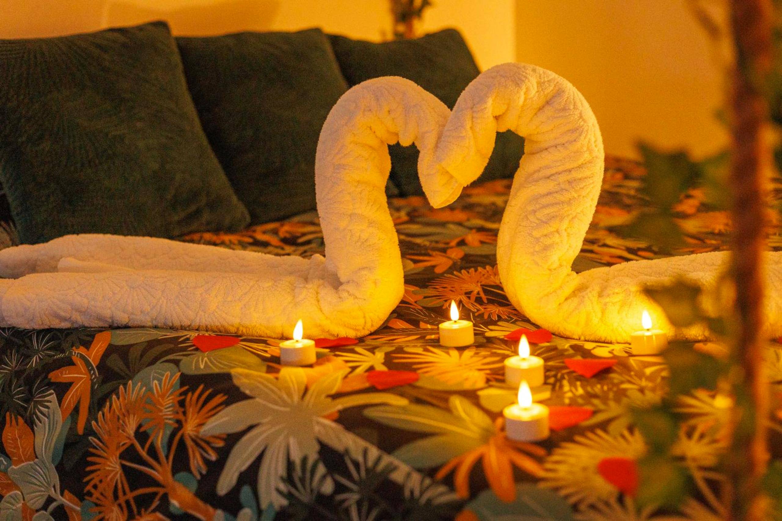 Photo du logement - Gîte - Spa Nature