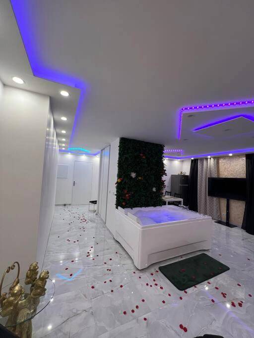 Photo du logement - Golden seconds - Strasbourg