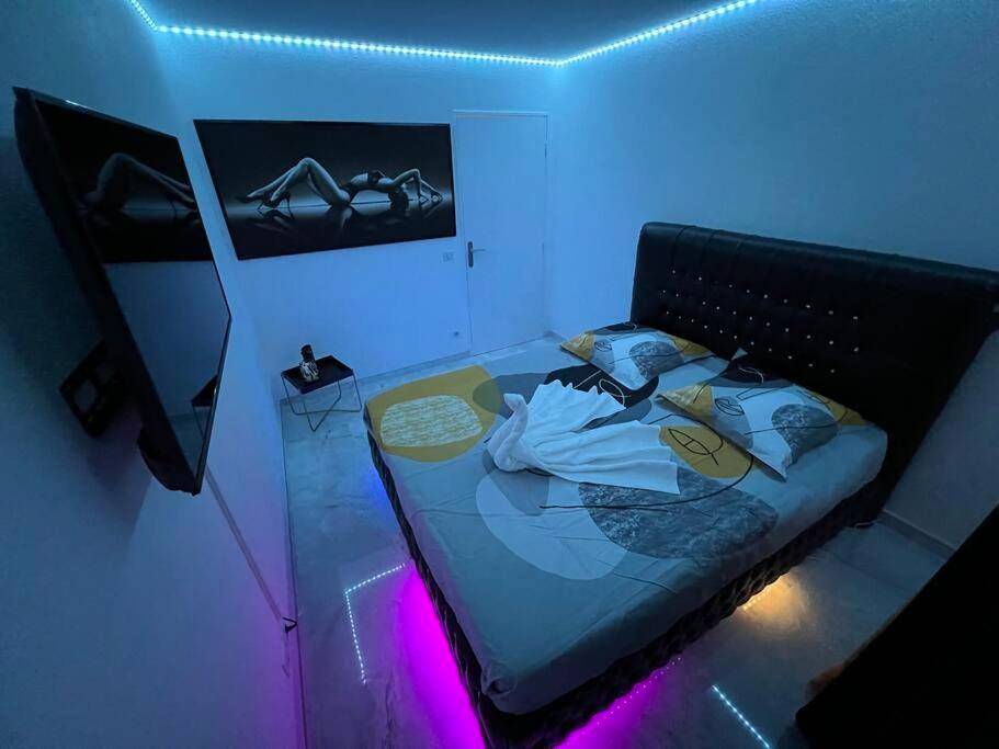 Photo du logement - Golden seconds - Strasbourg