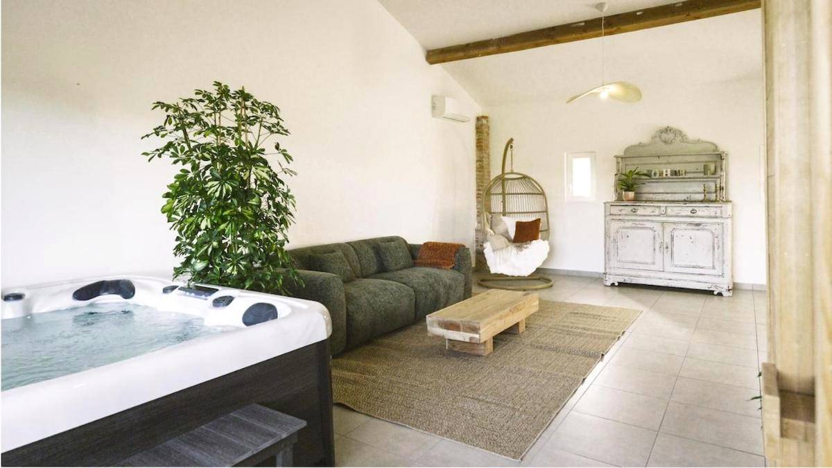 Vue principale - Love Room Cintegabelle - Harmonia house with Jacuzzi and private sauna