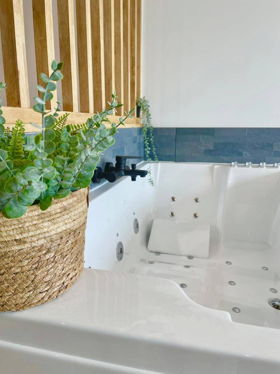 Photo du logement - Havana - La Bonne étoile - vue lac - Tresserve