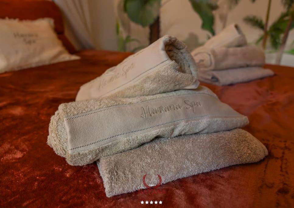 Photo du logement - Loft "Havana Spa" Cuba Jacuzzi Sauna Bar à cocktails