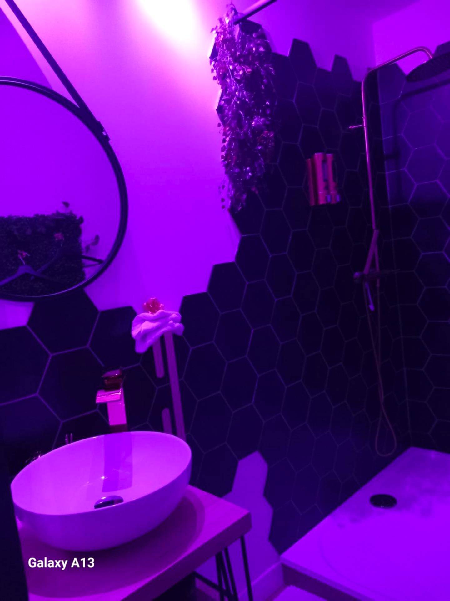 Photo du logement - Heavenly Love - Yvetot