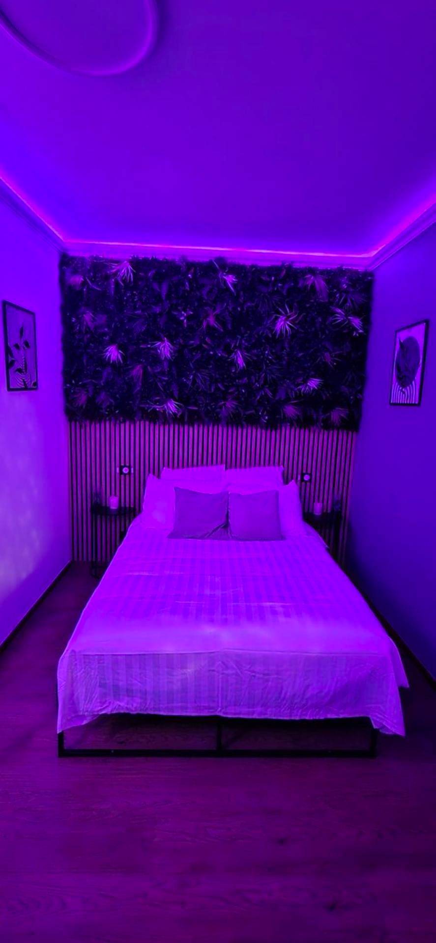 Photo du logement - L'Hortillon - Amiens