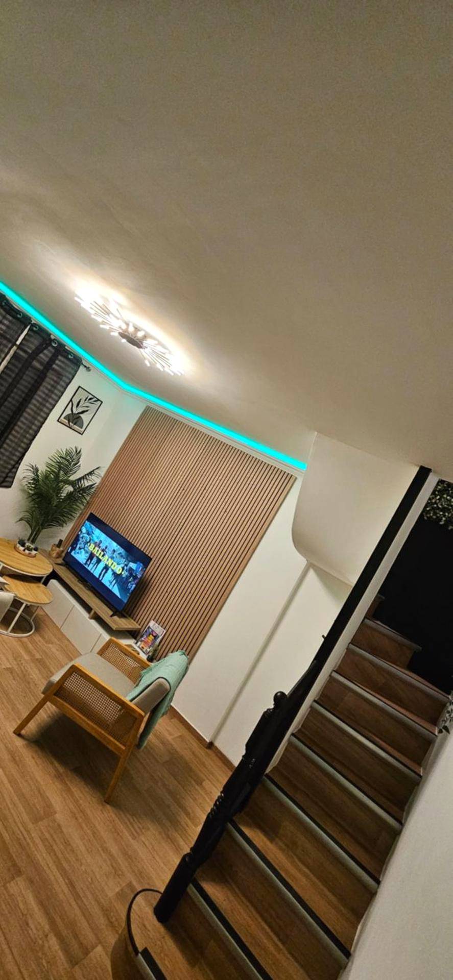 Photo du logement - L'Hortillon - Amiens