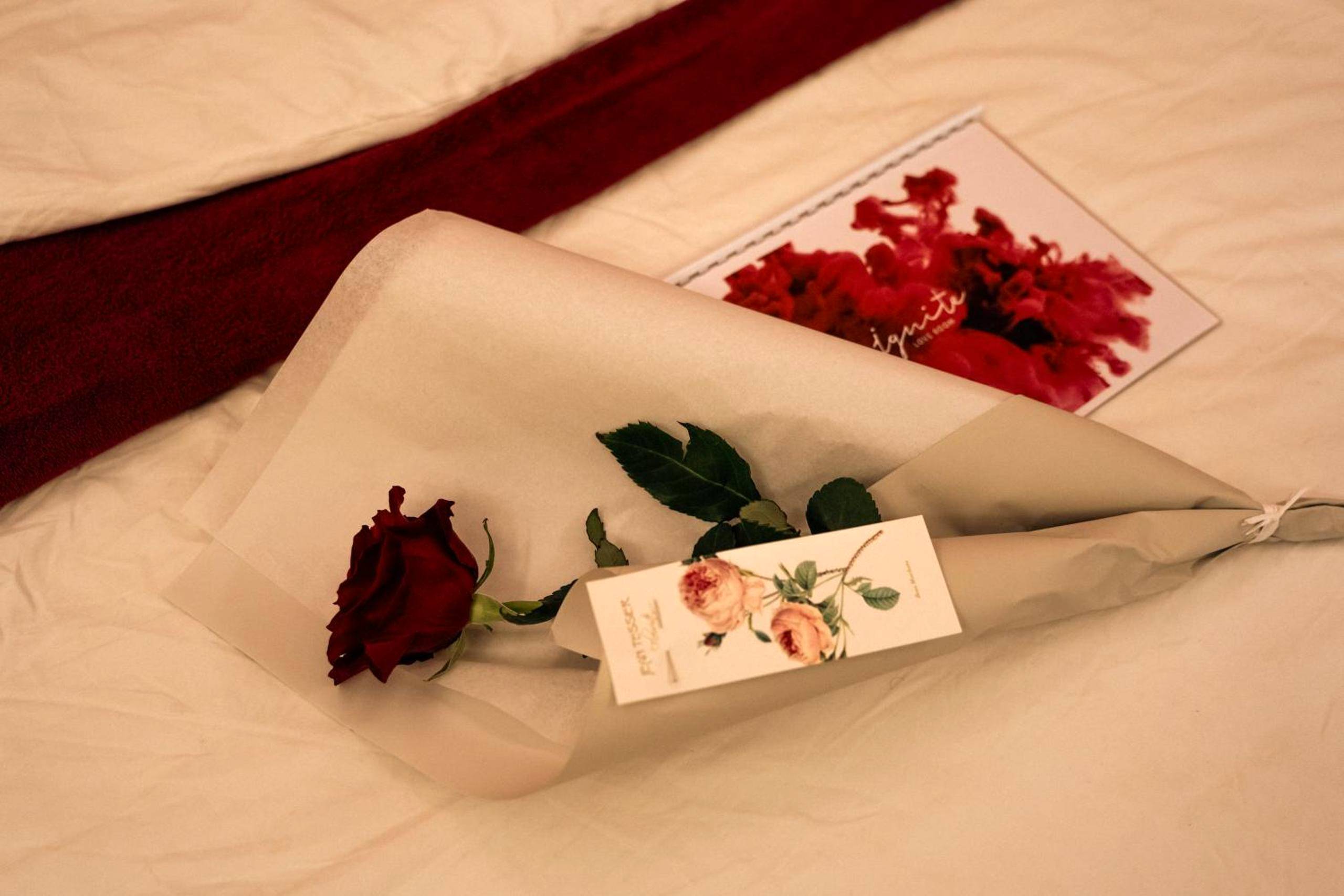 Rose rouge et livret d'accueil sur lit blanc - Ignite Love Room
