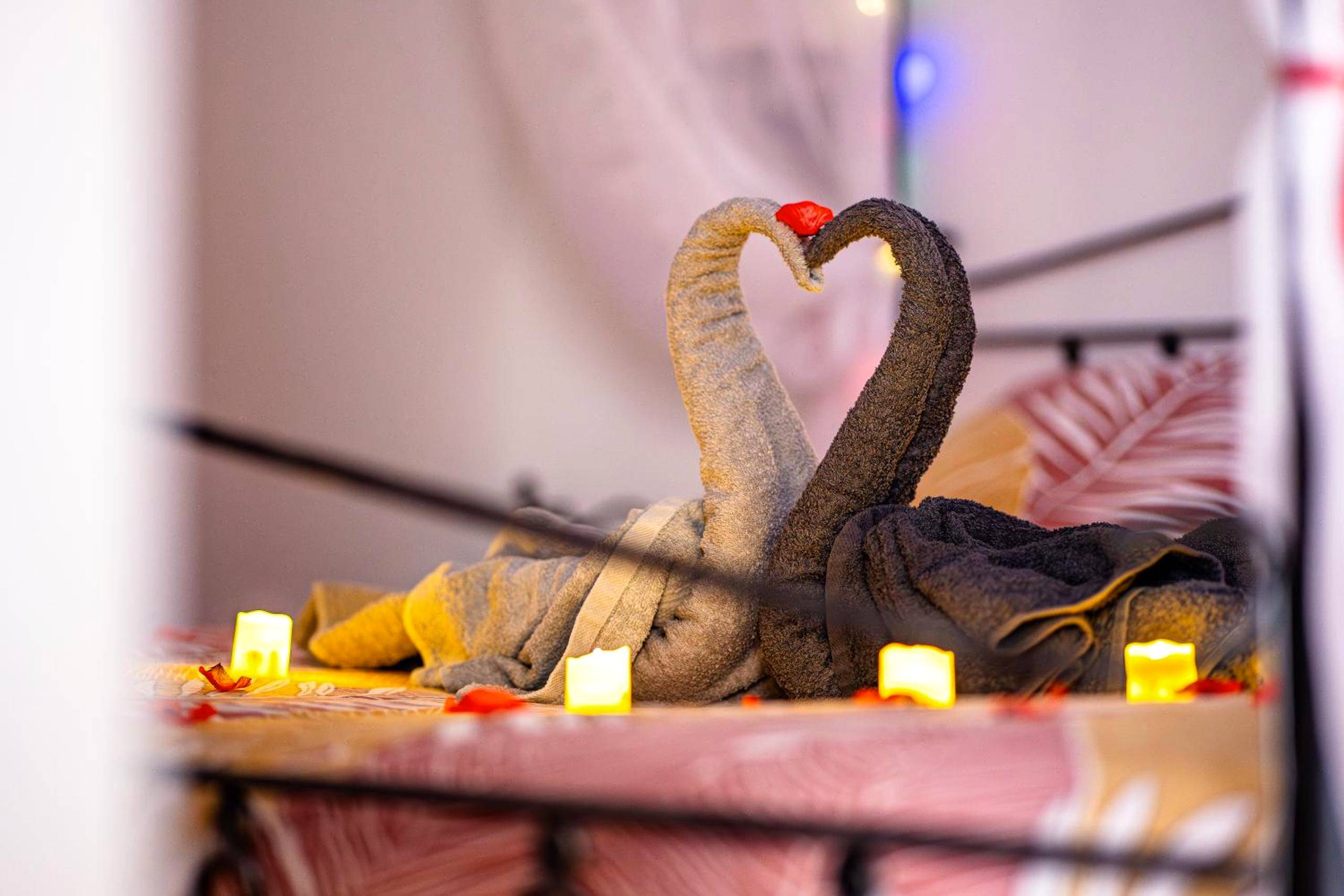 Photo du logement - Il Était Une Fois - GAP Chambre romantique & SPA