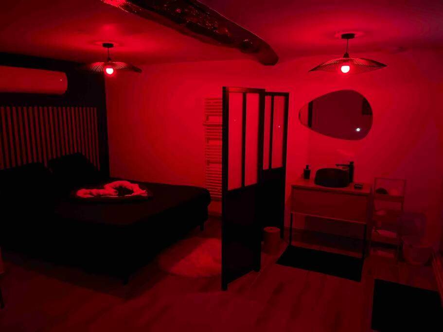 Photo du logement - L’insolite airbnb - Bourgoin - Jallieu