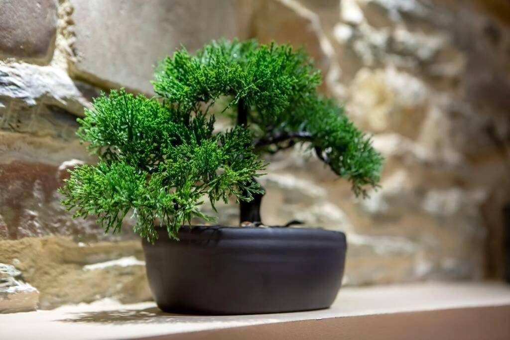 Photo du logement - Nouveau - L'instant Passion - Love Room