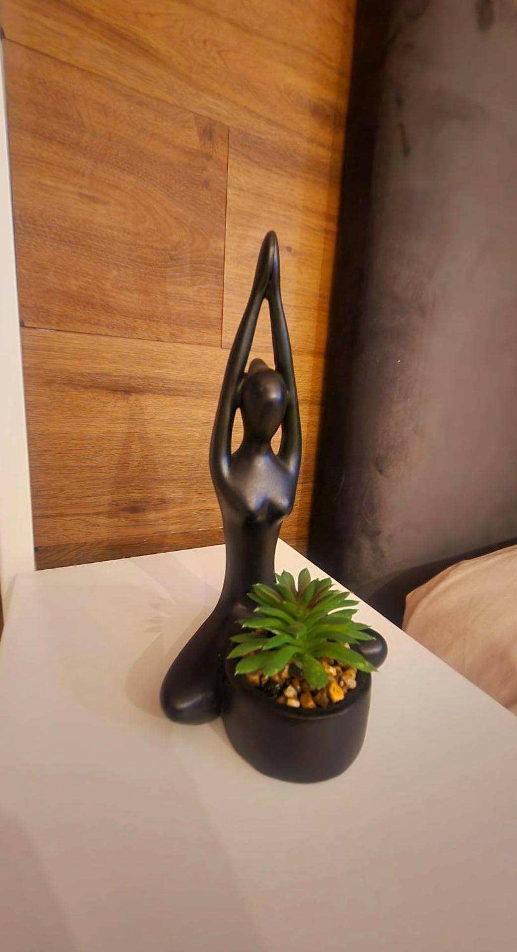 Statuette décorative noire et petite plante - L'instant Plaisir - Suite Bien Etre