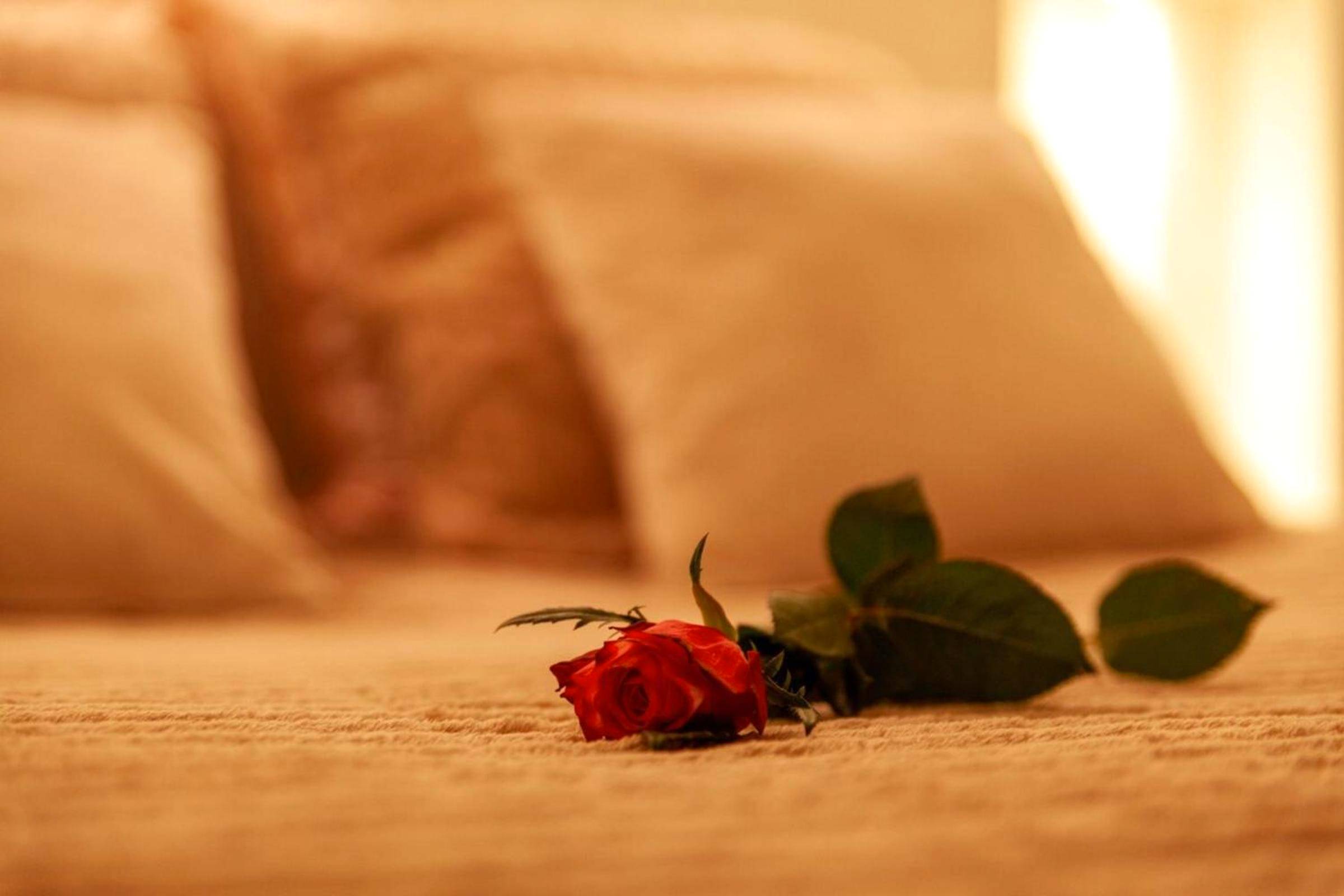 Photo du logement - Love Room Perpignan Jacuzzi & Ambiance romantique