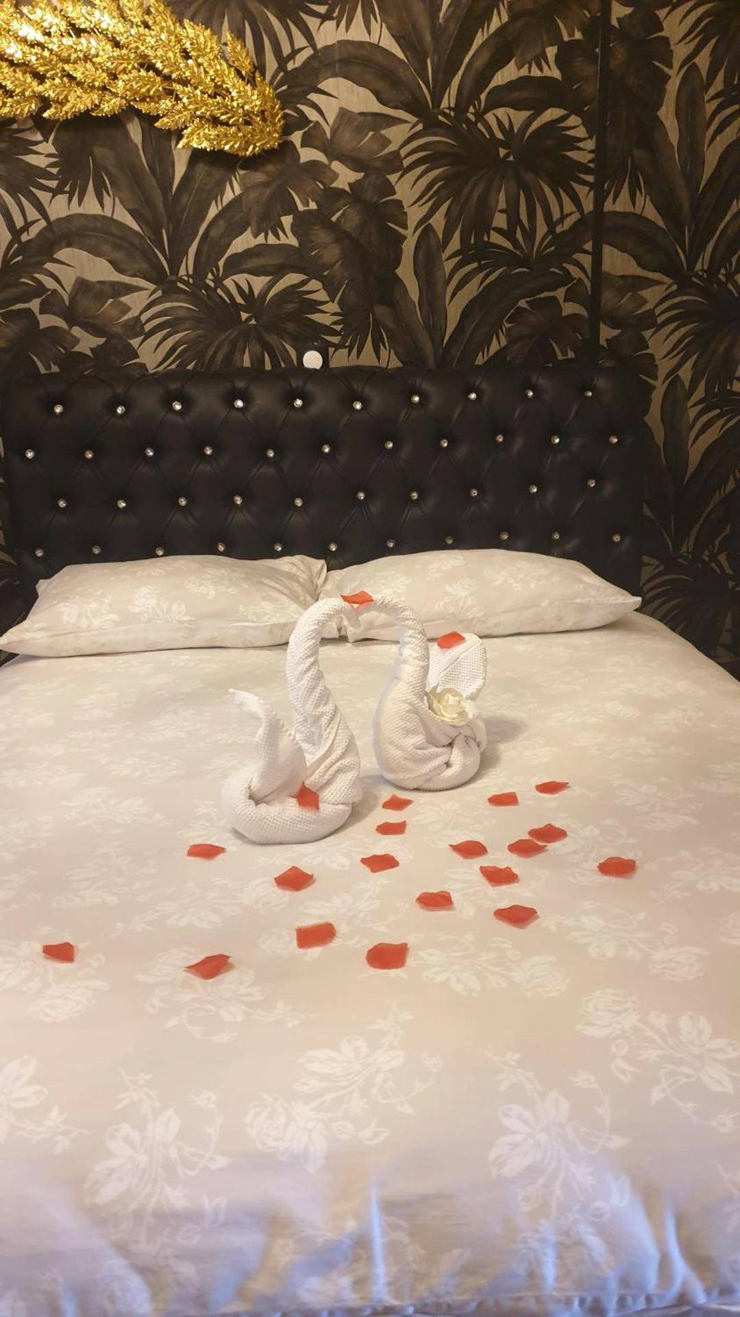 Photo du logement - Appartement de luxe avec Jacuzzi au centre de Metz