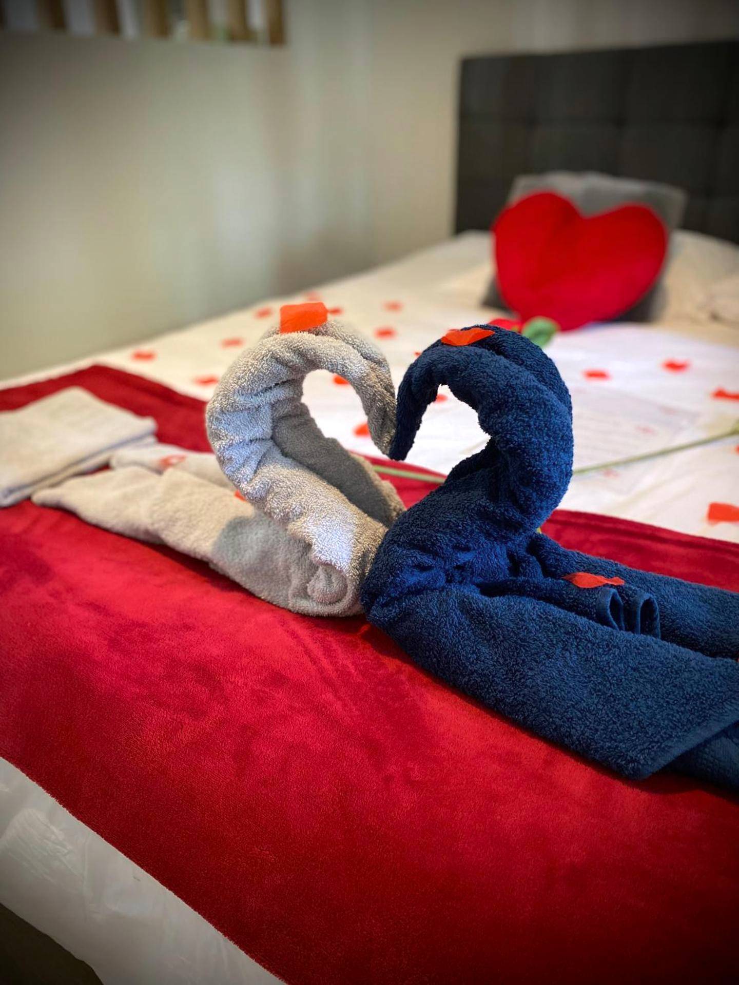 Photo du logement - Love Room avec jacuzzi & lit King Size - Saint - Étienne