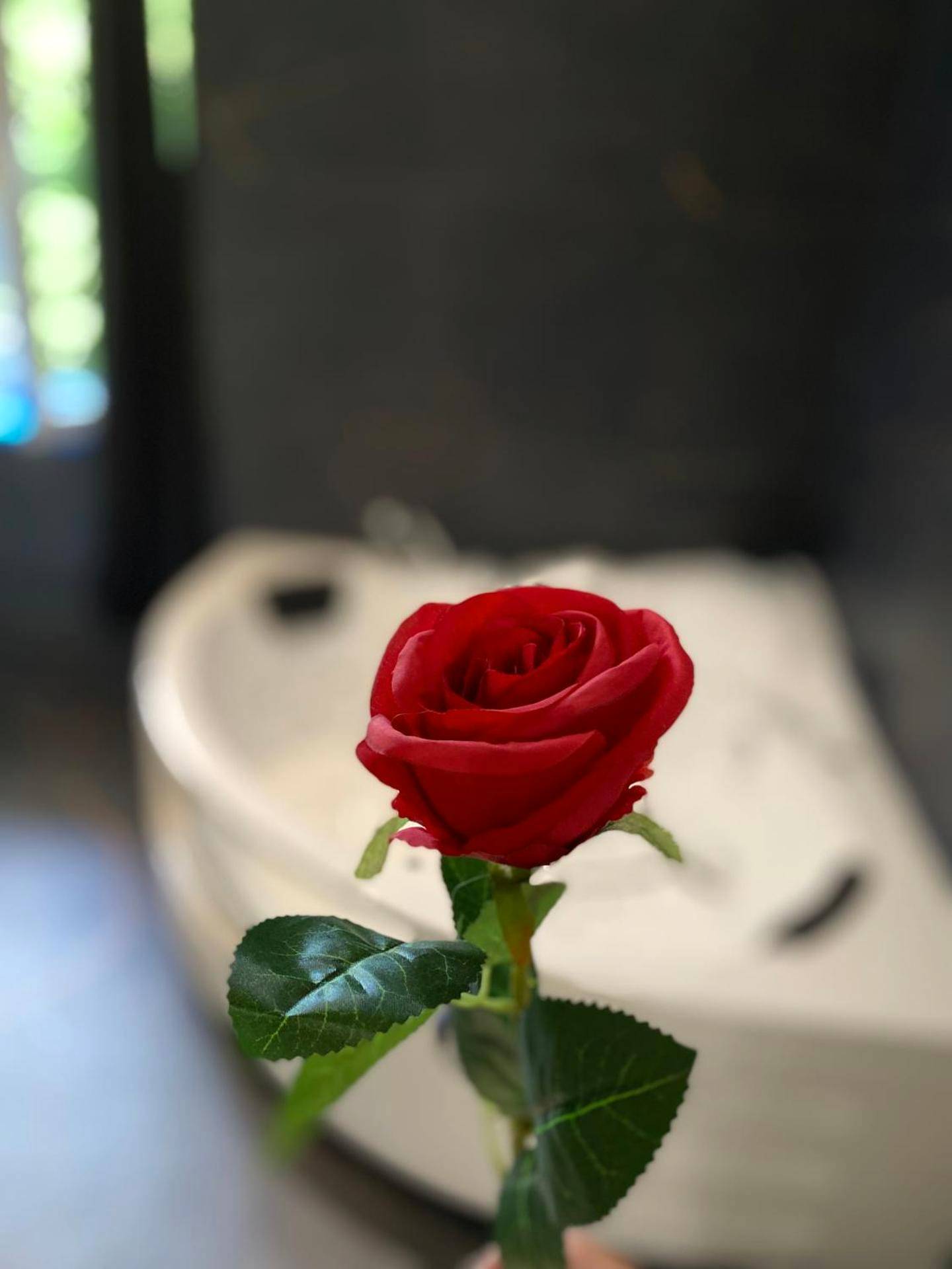 Photo du logement - Love Room avec jacuzzi & lit King Size