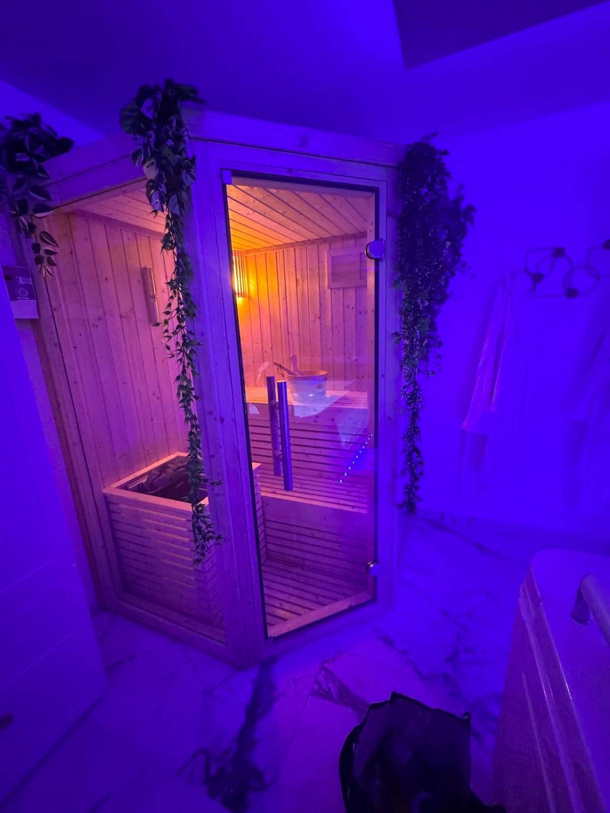 Cabine de sauna et décoration végétale - Loveroom de luxe avec jacuzzi sauna vapeur écran 300 cm