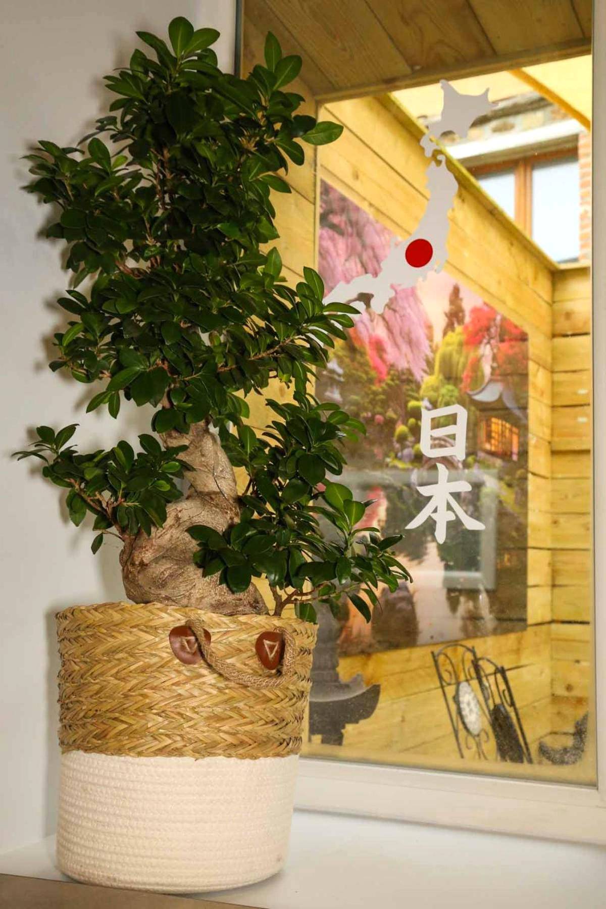 Photo du logement - Le Jade Rouge - Love Gîte Japonais en Normandie