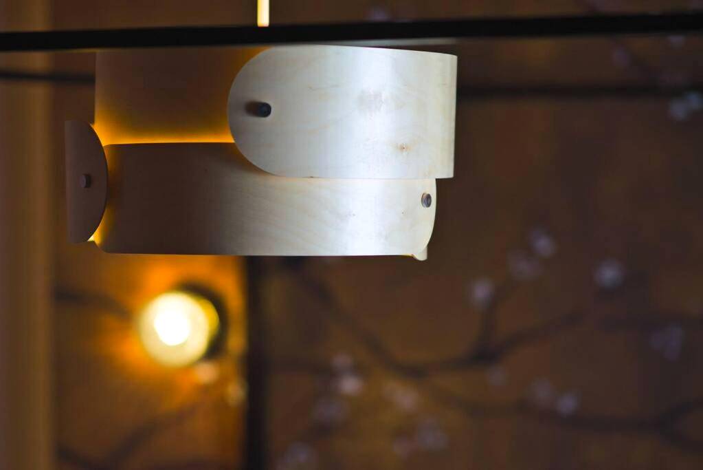 Photo du logement - JapanRoom Jacuzzi&Sauna Haut de gamme parking free