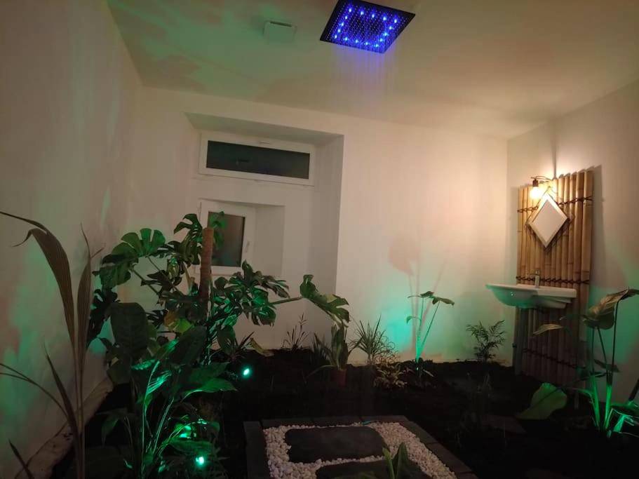 Photo du logement - Le Jardin d'Eden - Appartement de charme avec Sauna, Hammam, spa