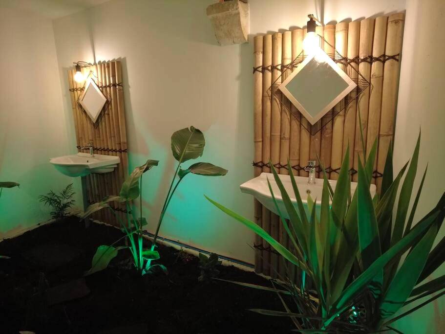 Double vasque sur fond de bambou et plantes - Le Jardin d'Eden - Appartement de charme avec Sauna, Hammam, spa