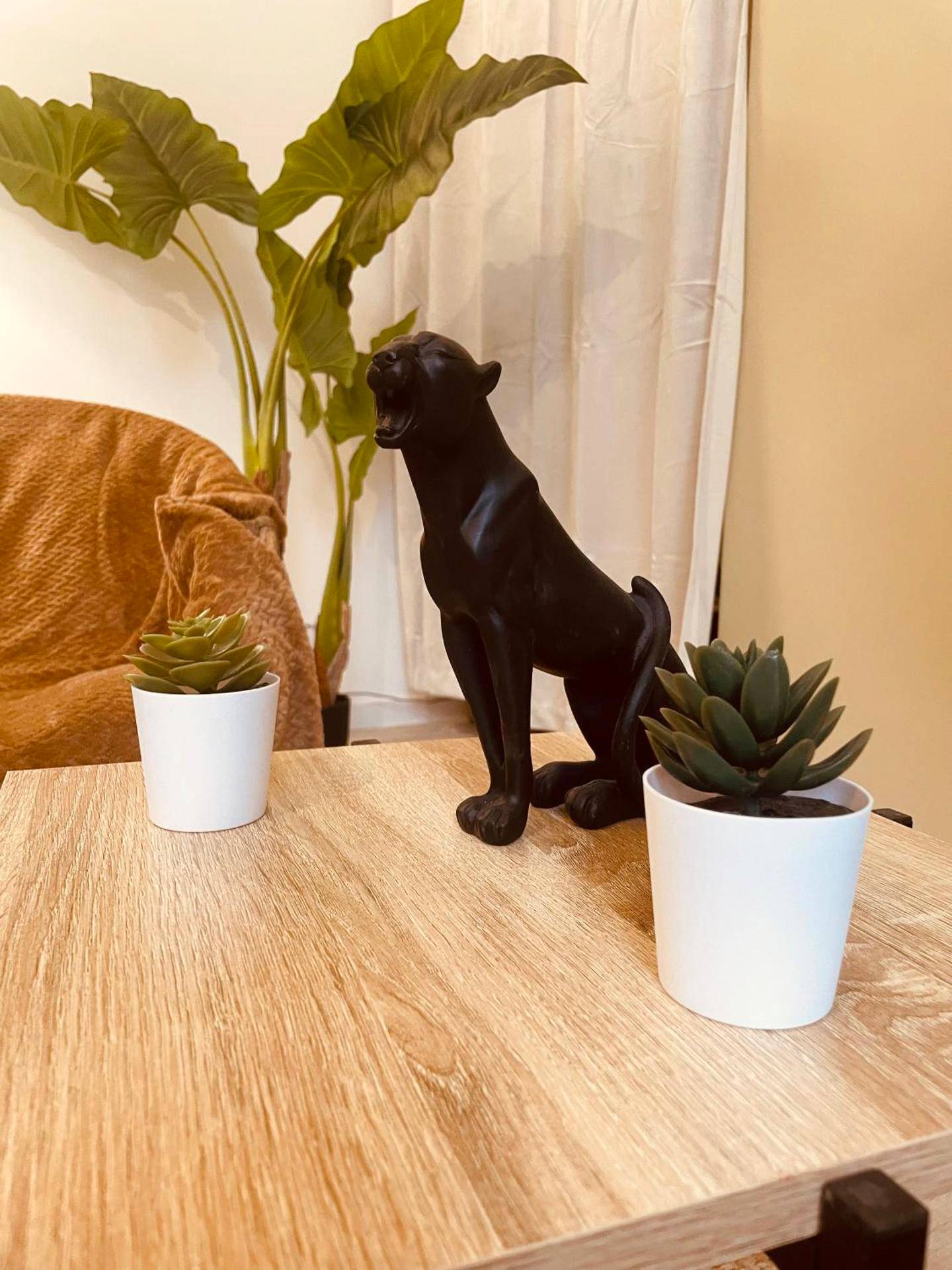 Photo du logement - Jungle Love Room de l Hermitage