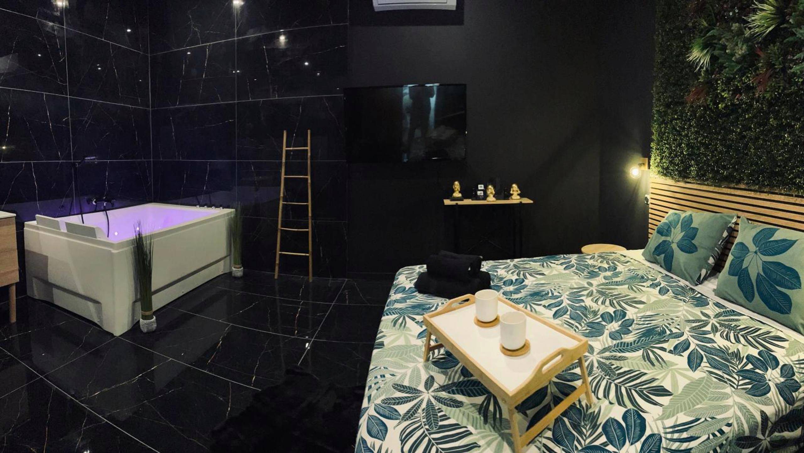 Photo du logement - Jungle Love Room de l Hermitage - Tain - l'Hermitage