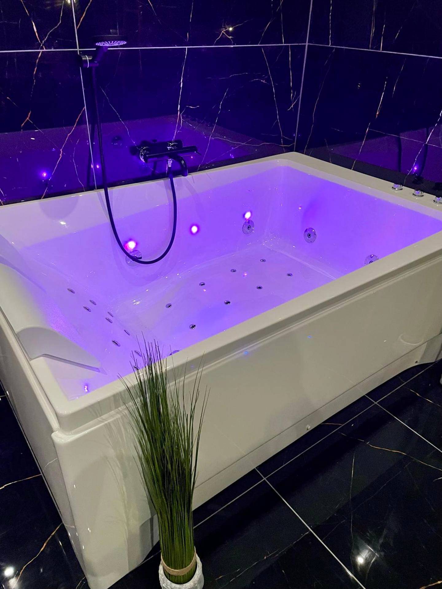 Photo du logement - Jungle Love Room de l Hermitage - Tain - l'Hermitage