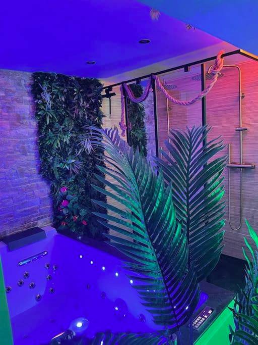 Photo du logement - Jungle Love avec Balnéo à 10 min de Disneyland Paris