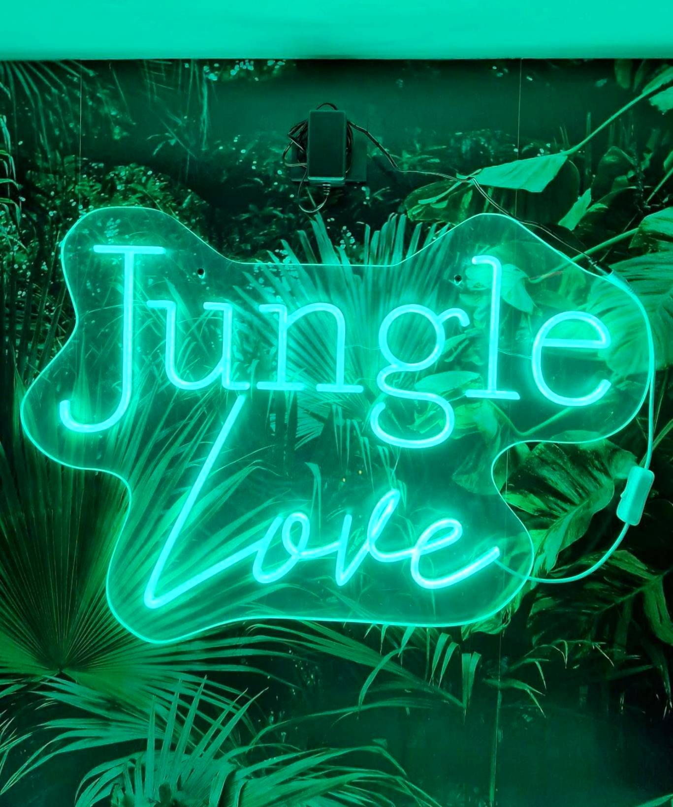 Photo du logement - Jungle Love avec Balnéo à 10 min de Disneyland Paris
