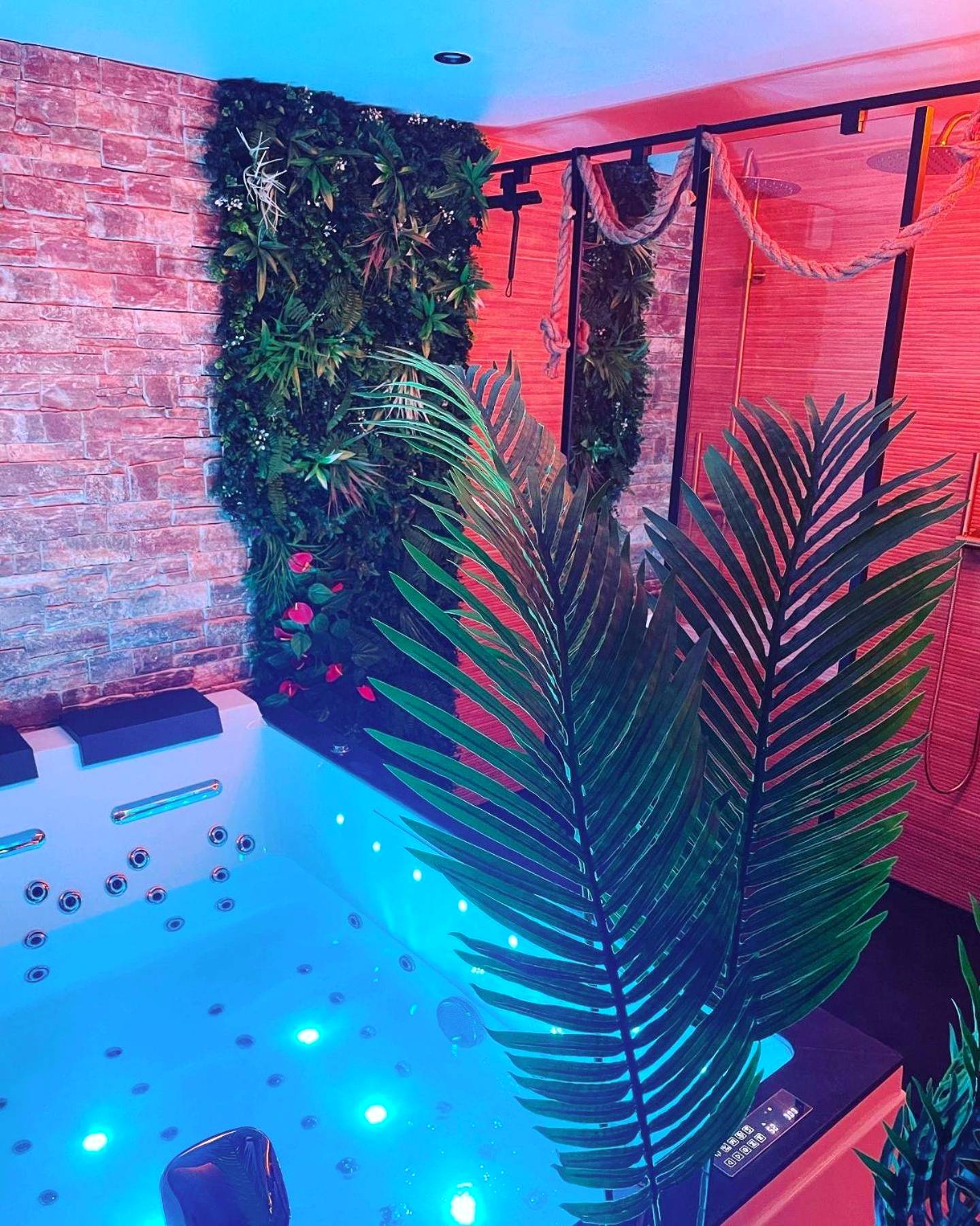 Vue du logement - Jungle Love avec Balnéo à 10 min de Disneyland Paris