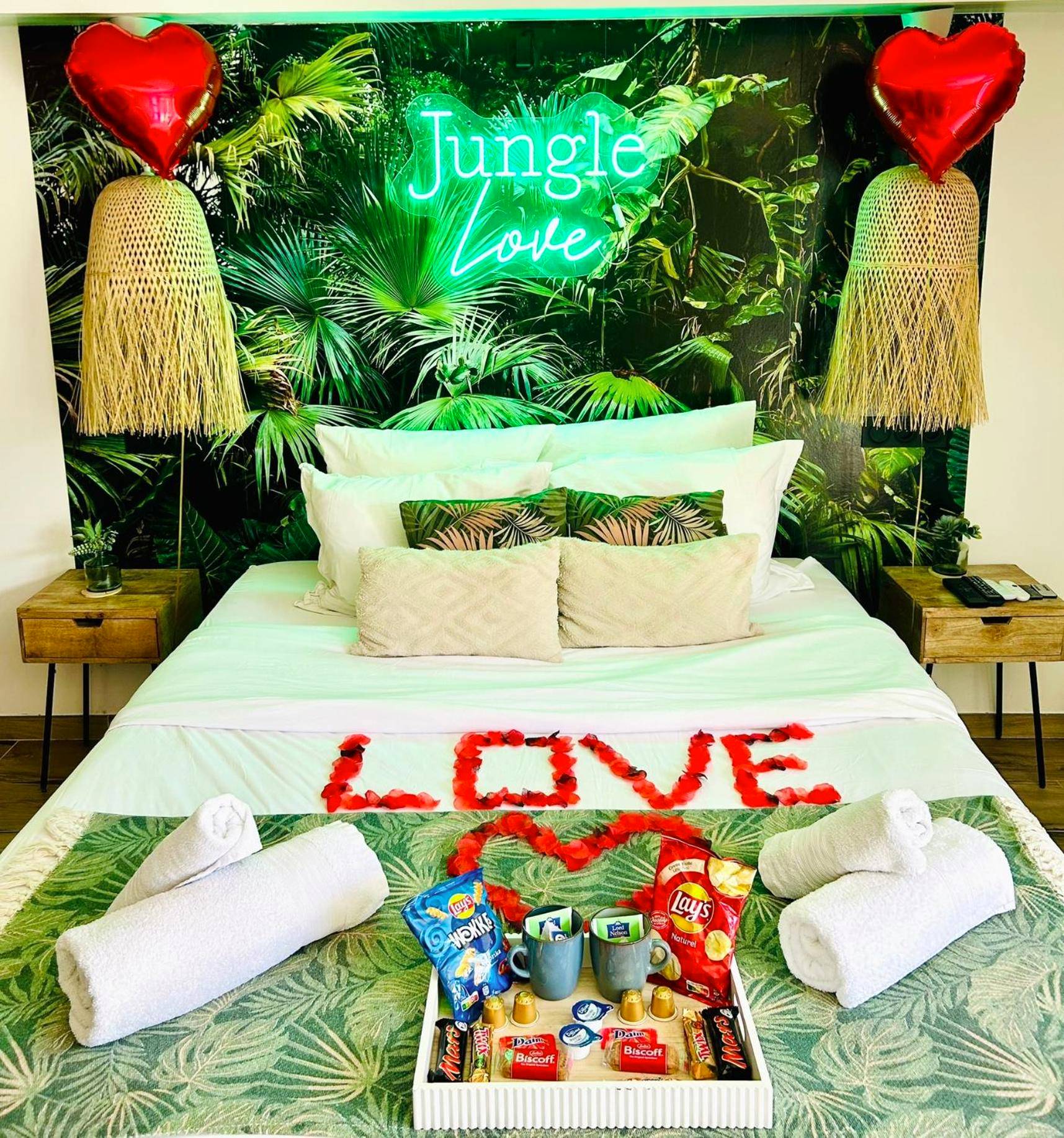 Vue du logement - Jungle Love avec Balnéo à 10 min de Disneyland Paris