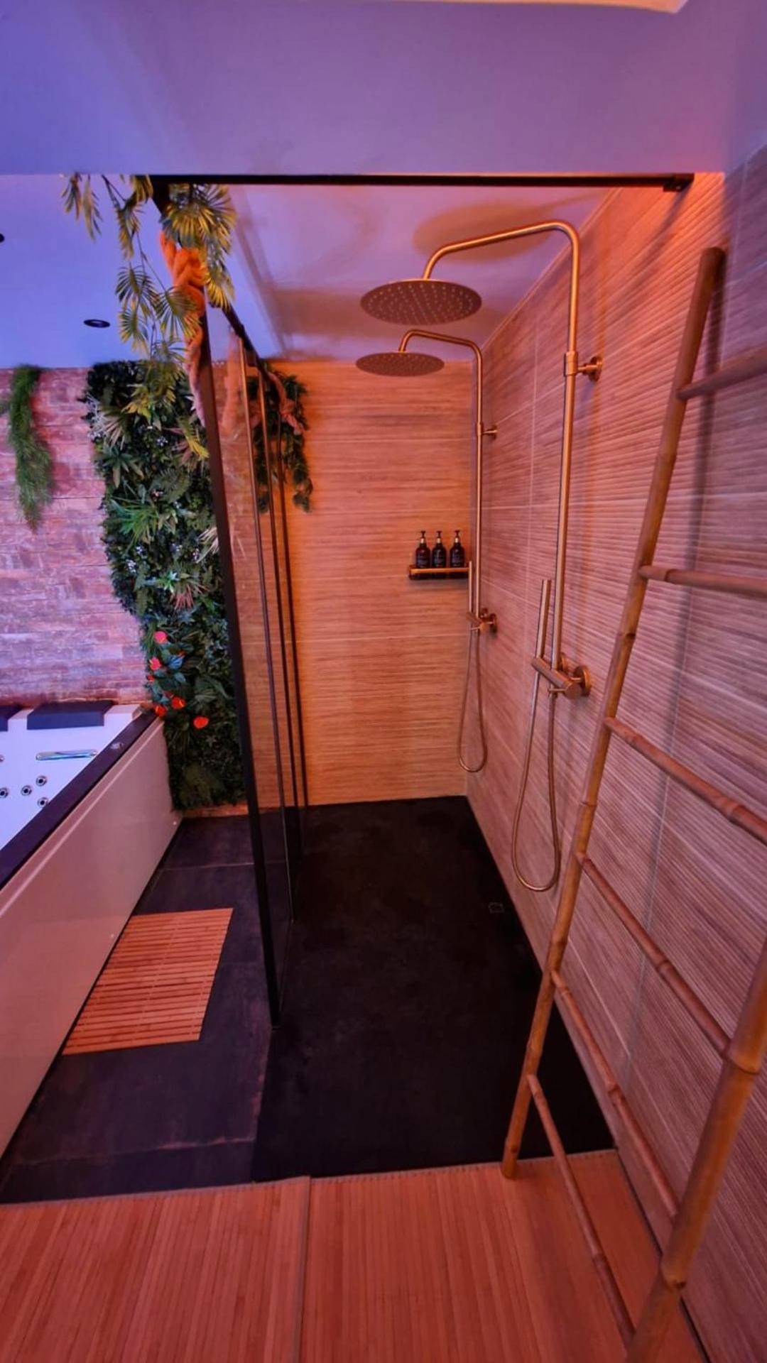 Vue du logement - Jungle Love avec Balnéo à 10 min de Disneyland Paris