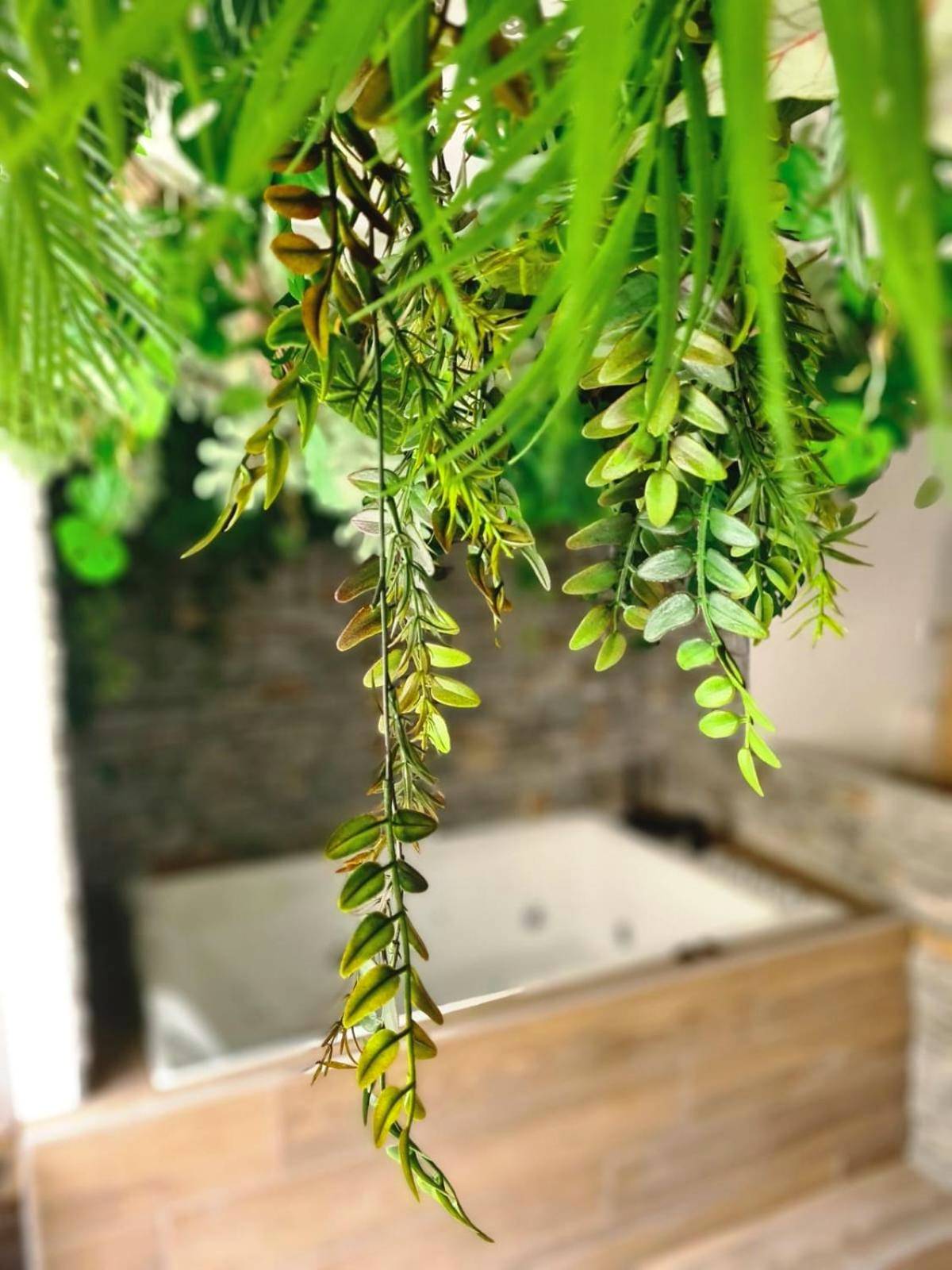 Photo du logement - Jungle Room Jacuzzi Privé Évasion en amoureux
