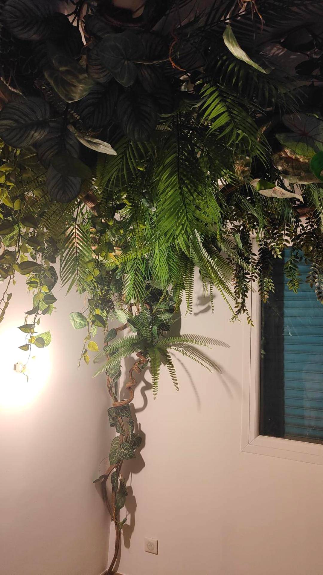 Photo du logement - Jungle Room Jacuzzi Privé Évasion en amoureux