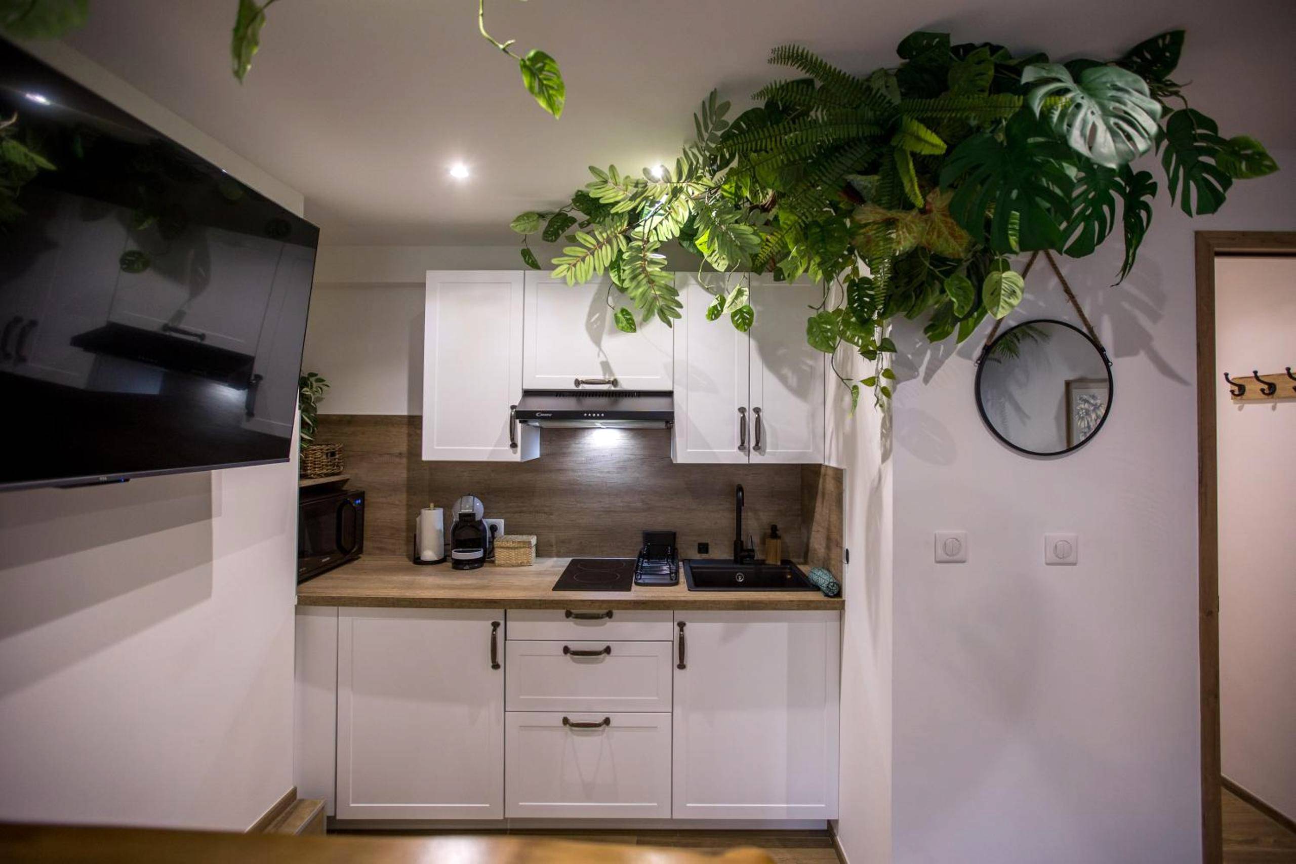 Photo du logement - Jungle Room Jacuzzi Privé Évasion en amoureux