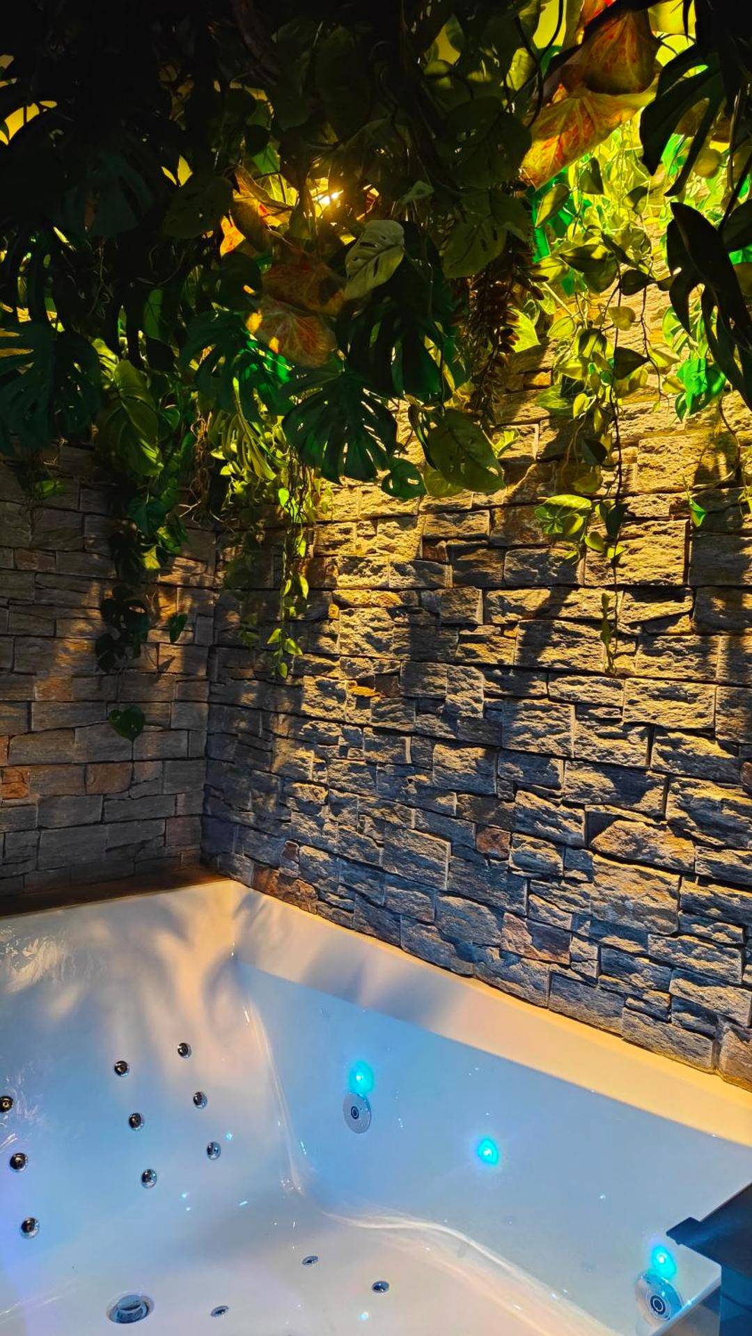 Vue du logement - Jungle Room Jacuzzi Privé Évasion en amoureux